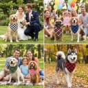 Dog Bandanas 6 Pack - Soft Cotton Bandanas for Dogs
