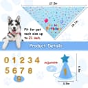 Dog Birthday Party Supplies — Dog Birthday Bandana