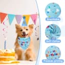 Dog Birthday Party Supplies — Dog Birthday Bandana