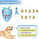 Dog Birthday Party Supplies — Dog Birthday Bandana
