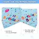 Dog Birthday Party Supplies — Dog Birthday Bandana