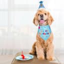 Dog Birthday Party Supplies — Dog Birthday Bandana