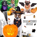 12 Pcs Holiday Dog Bandanas Bulk — Halloween Dog Bandanas