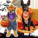 12 Pcs Holiday Dog Bandanas Bulk — Halloween Dog Bandanas