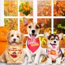 12 Pcs Holiday Dog Bandanas Bulk — Halloween Dog Bandanas
