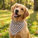 Cotton Linen Dog Bandana 1 Pack — Brown Khaki Gingham Dog Scarf