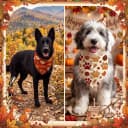 50 Pcs Fall Paw Print Dog Bandanas Bulk — Autumn Thanksgiving Party