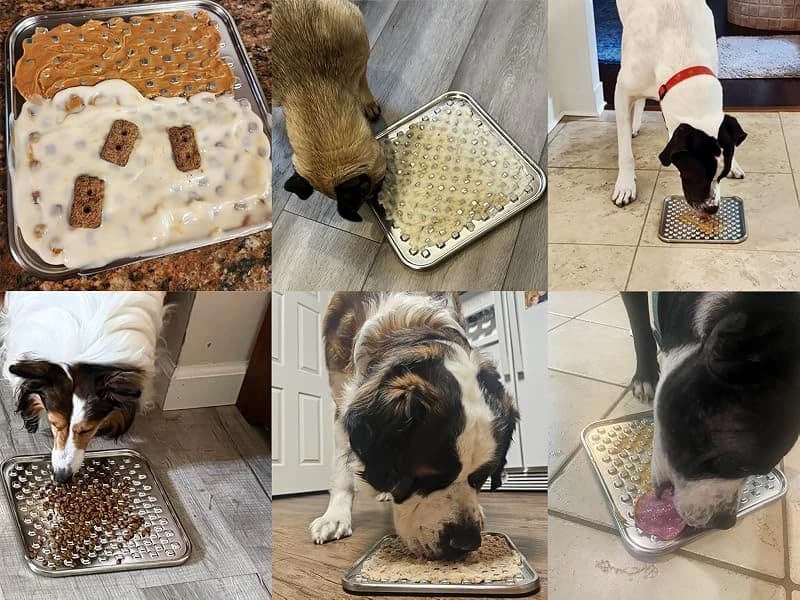 Lick Mat for Dogs and Cats — Double-Wall Stainless Steel — WHY STAINLESS STEEL LICK MAT IS THE BEST FOR SOFT TREATS?