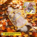 Clear Dog Raincoat — Transparent PVC Cape Style Pet Rain Jacket with Hidden Leash Hole