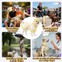 Clear Dog Raincoat — Transparent PVC Cape Style Pet Rain Jacket with Hidden Leash Hole