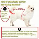 Clear Dog Raincoat — Transparent PVC Cape Style Pet Rain Jacket with Hidden Leash Hole