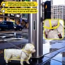Clear Dog Raincoat — Transparent PVC Cape Style Pet Rain Jacket with Hidden Leash Hole