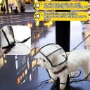 Transparent Dog Rain Poncho for Small and Medium Dogs - Thick Waterproof Raincoat with Hidden Leash Hole &