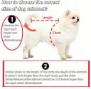 Transparent Dog Rain Poncho for Small and Medium Dogs - Thick Waterproof Raincoat with Hidden Leash Hole &