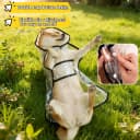 Transparent Dog Rain Poncho for Small and Medium Dogs - Thick Waterproof Raincoat with Hidden Leash Hole &