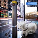 Clear Dog Rain Poncho for Small and Medium Dogs