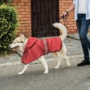 Waterproof Dog Raincoats - Hooded Raincoats for Dogs