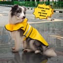 Dog Raincoat: Hooded Slicker Poncho