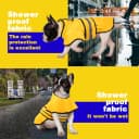 Dog Raincoat: Hooded Slicker Poncho