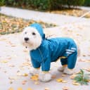 Dog Raincoat — Waterproof Dog Rain Jacket with Hood