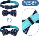 Anchor Dog Collar with Bow Tie