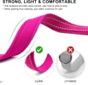 Reflective Dog Collar — Neoprene Padded Small Dog Collar