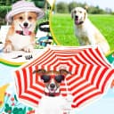 6 Pcs Reflective Dog Collar — Nylon Soft Adjustable