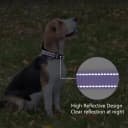 Reflective Dog Collar — Adjustable Nylon for Medium Dogs