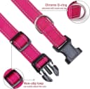 Reflective Dog Collar — Puppy Collar with Buckle Adjustable