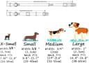 Dog Collar for Medium Dogs — Fashion Design