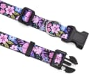 Dog Collar for Medium Dogs — Fashion Design
