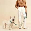 PU Leather Dog Collar for Medium Dogs — Soft Nylon Lining