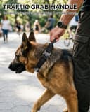 Tactical Dog Collar for Large Dogs — Traffic Control Handle