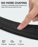 Tactical Dog Collar for Large Dogs — Traffic Control Handle