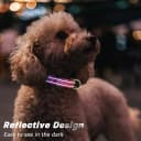 Adjustable and Reflective Dog Collar for Medium Dogs