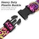 Adjustable and Reflective Dog Collar for Medium Dogs
