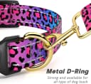 Adjustable and Reflective Dog Collar for Medium Dogs