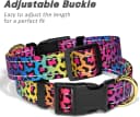 Adjustable and Reflective Dog Collar for Medium Dogs