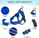 Small Dog Harness and Leash Set