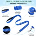 Small Dog Harness and Leash Set