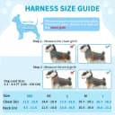Small Dog Harness and Leash Set