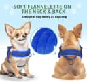 Small Dog Harness and Leash Set