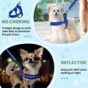 Small Dog Harness and Leash Set