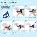 Small Dog Harness and Leash Set