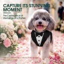 Dog Tuxedo Harness — Pet Harness No Pull for Small and Medium Dogs