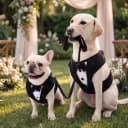Dog Tuxedo Harness — Pet Harness No Pull for Small and Medium Dogs