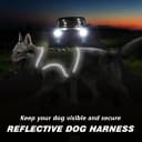 Tactical Dog Harness for Large Dogs
