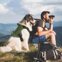 Tactical Dog Harness for Large Dogs