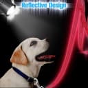 12 Pcs Double Sided Reflective Dog Leash