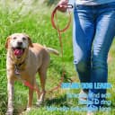 12 Pcs Double Sided Reflective Dog Leash